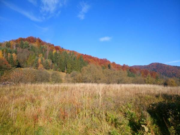 Domki pod Lipą i Domek u Jasi