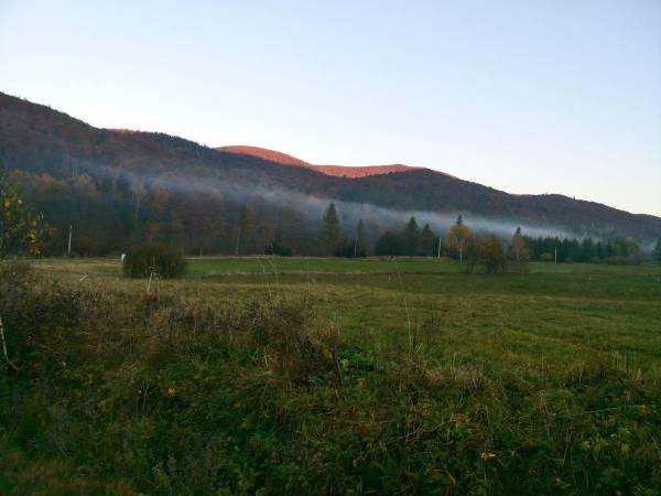 Domki pod Lipą i Domek u Jasi