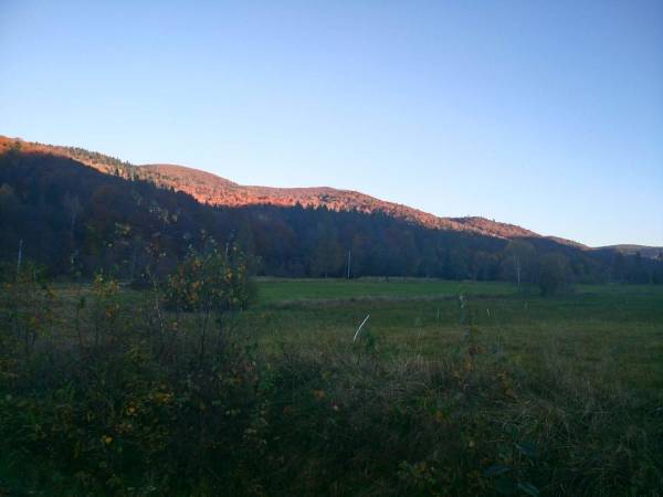 Domki pod Lipą i Domek u Jasi