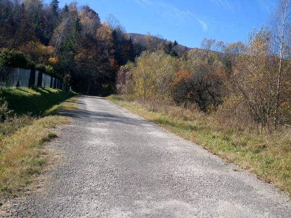 Domki pod Lipą i Domek u Jasi