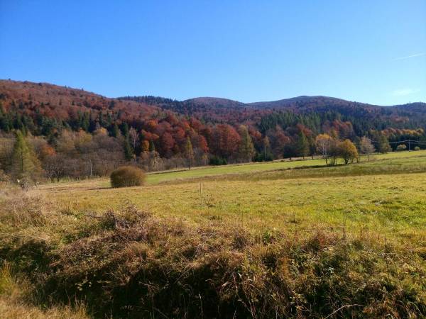 Domki pod Lipą i Domek u Jasi