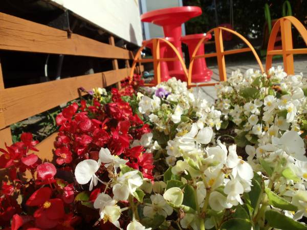 Domki Pod Skrzydłem Mewy