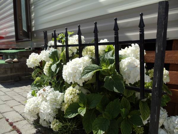 Domki Pod Skrzydłem Mewy