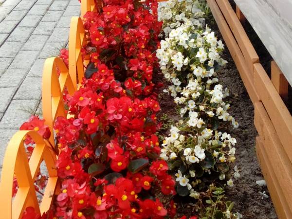 Domki Pod Skrzydłem Mewy