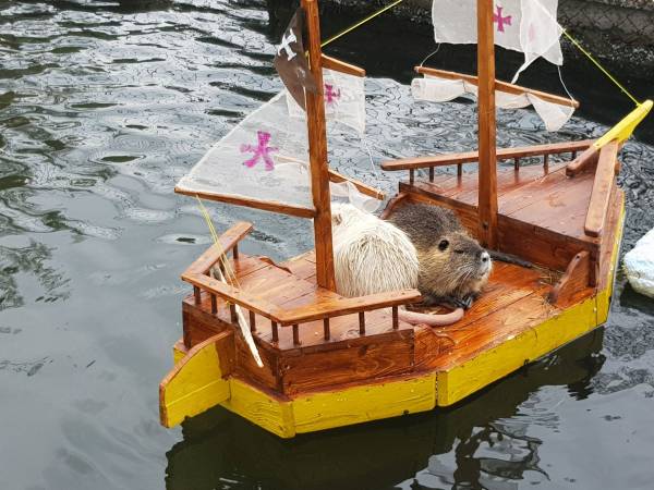 Agroturystyka-Zagroda Studzienno