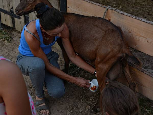 Agroturystyka-Zagroda Studzienno