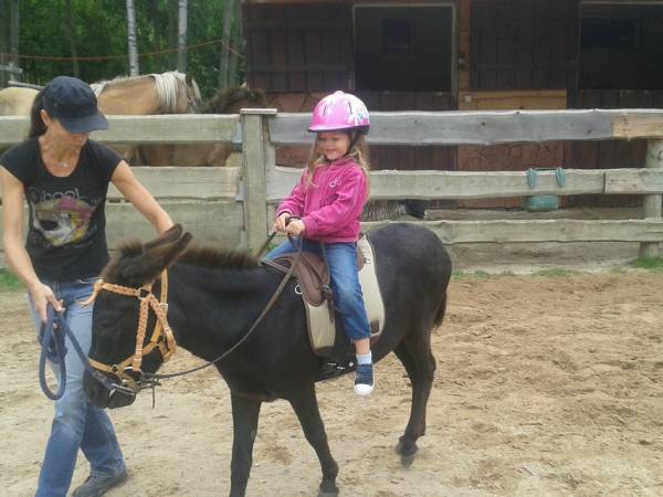 Agroturystyka-Zagroda Studzienno