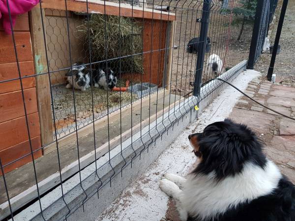 Agroturystyka-Zagroda Studzienno