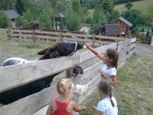 Agroturystyka-Zagroda Studzienno