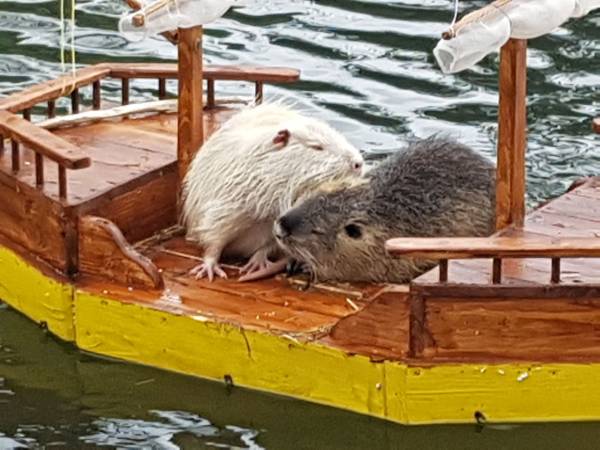 Agroturystyka-Zagroda Studzienno