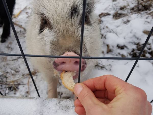 Agroturystyka-Zagroda Studzienno