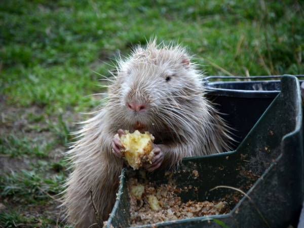 Agroturystyka-Zagroda Studzienno