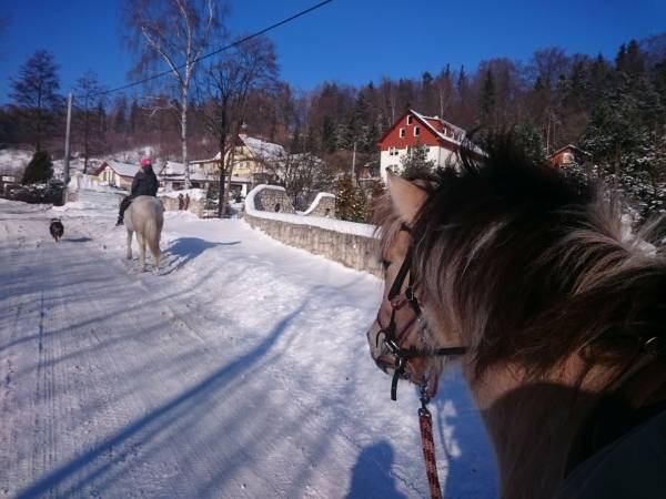 Agroturystyka-Zagroda Studzienno