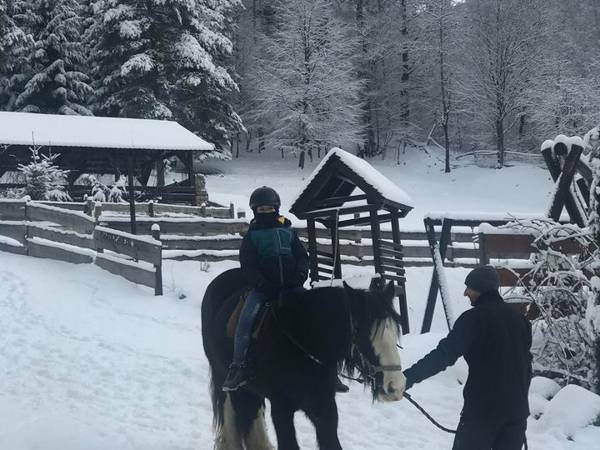 Agroturystyka-Zagroda Studzienno