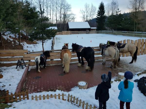 Agroturystyka-Zagroda Studzienno