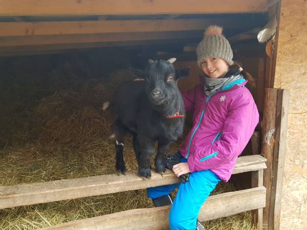 Agroturystyka-Zagroda Studzienno