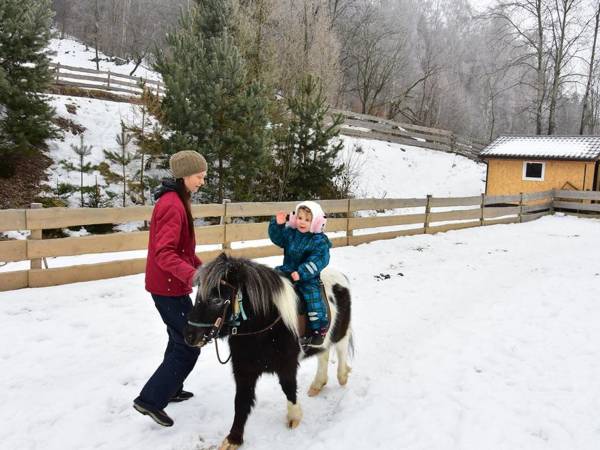 Agroturystyka-Zagroda Studzienno