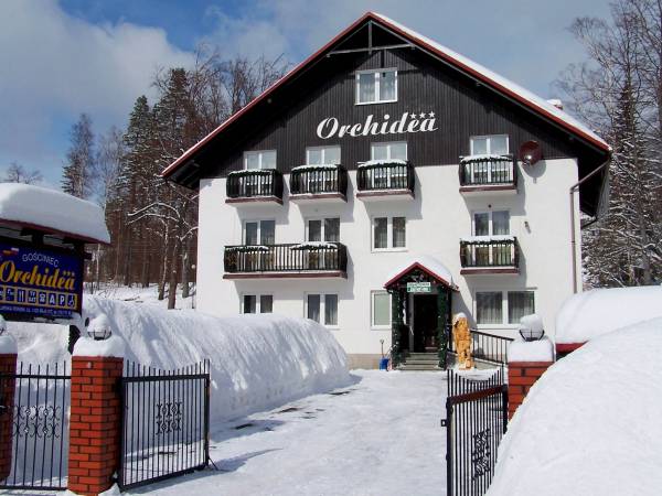 Pensjonat Orchidea