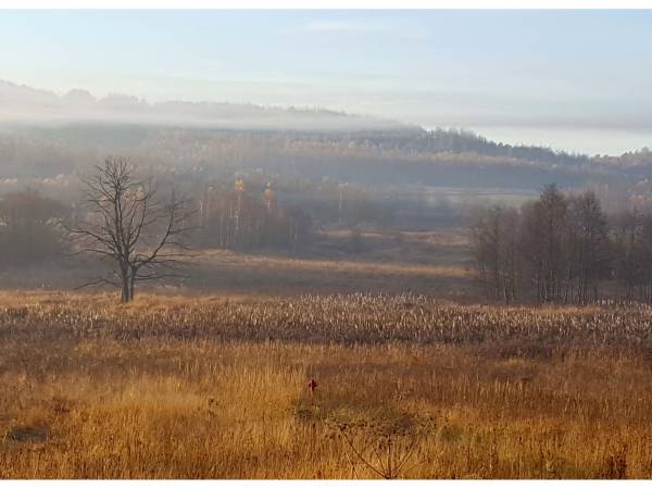 Jesień w Św. Katarzynie