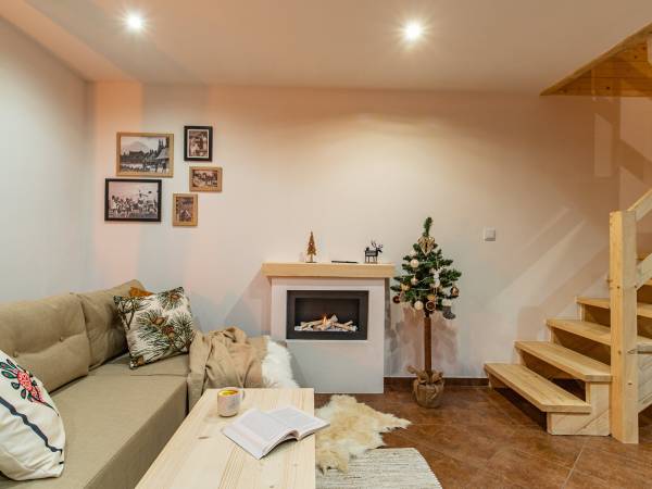 Salon z wygodną sofą