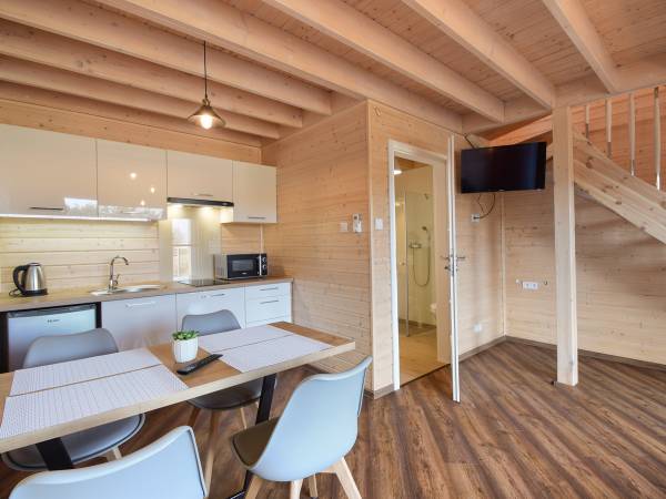 Salon z aneksem kuchennym