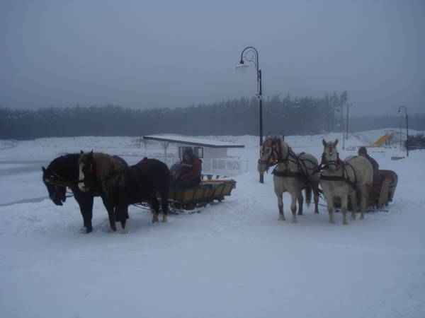 organizujemy kuligi duktem leśnym