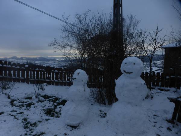 Gospodarstwo Karolina