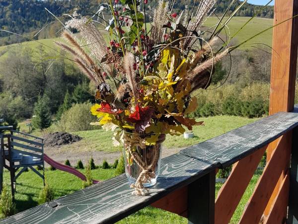 Domek w Bieszczadach Kiczurka