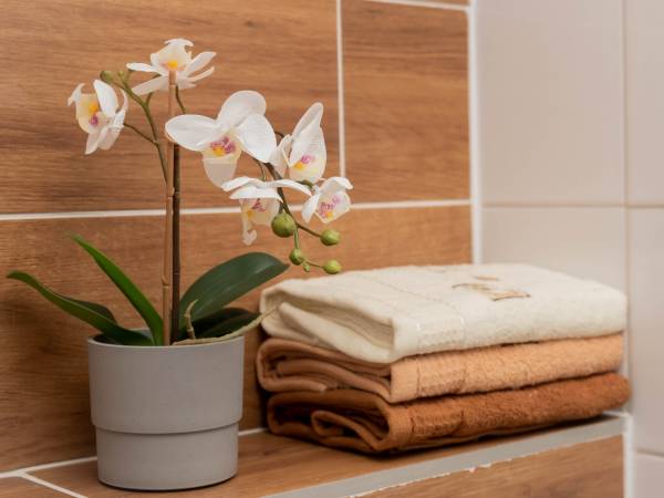 Apartamenty GoszóWita