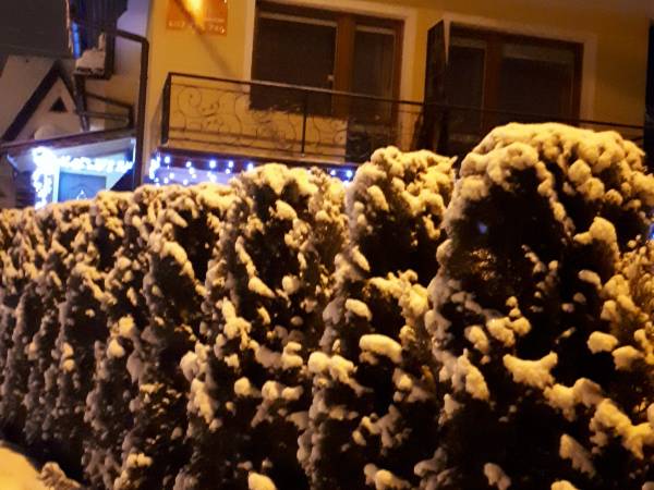 Pokoje Gościnne Wojtas