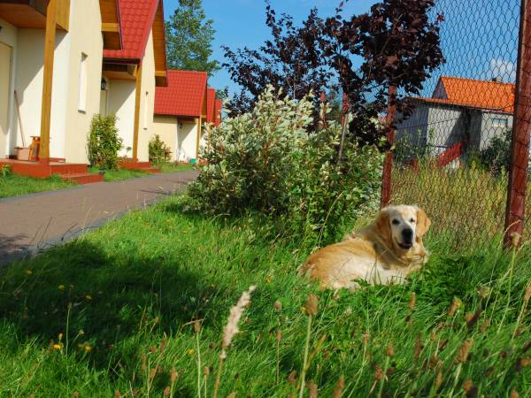 Kompleks Wypoczynkowy Sedna Domki