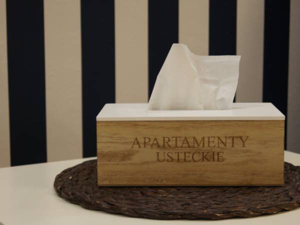 Apartamenty Usteckie 