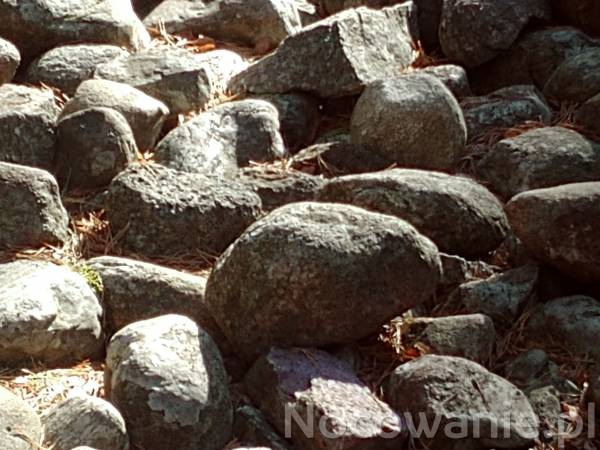 Dom na Kaszubach.com