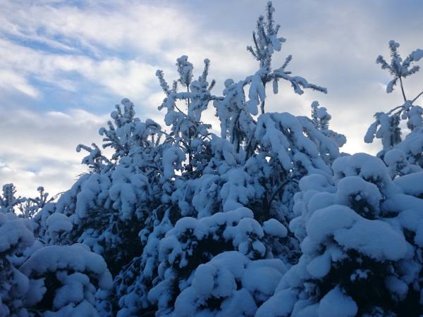 Dom na Kaszubach.com