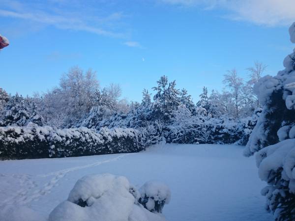 Dom na Kaszubach.com