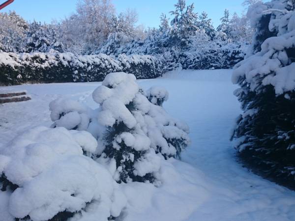 Dom na Kaszubach.com