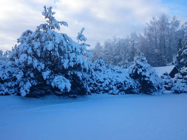 Dom na Kaszubach.com