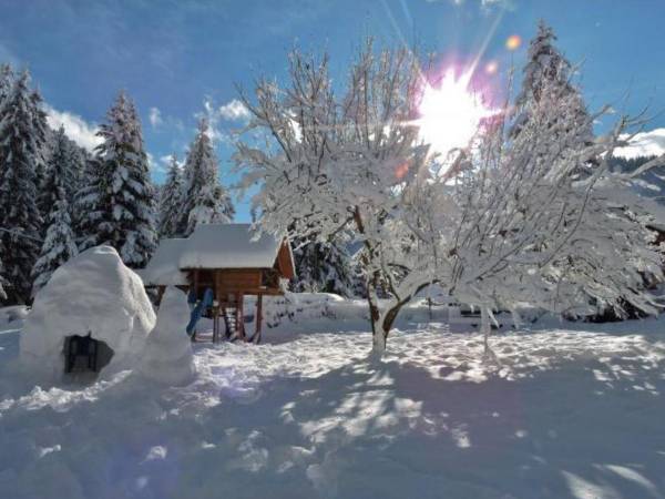 Apartamenty oraz Studia Miroslav