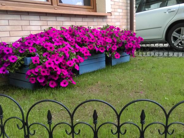 Anita Komfortowe Pokoje