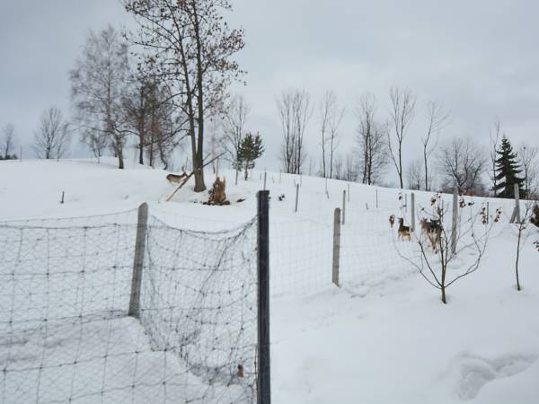 Pokoje Gościnne przy stoku