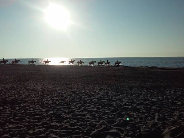 widoki można podziwiać z brzegu lub z siodła