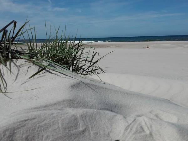 nasza plaża