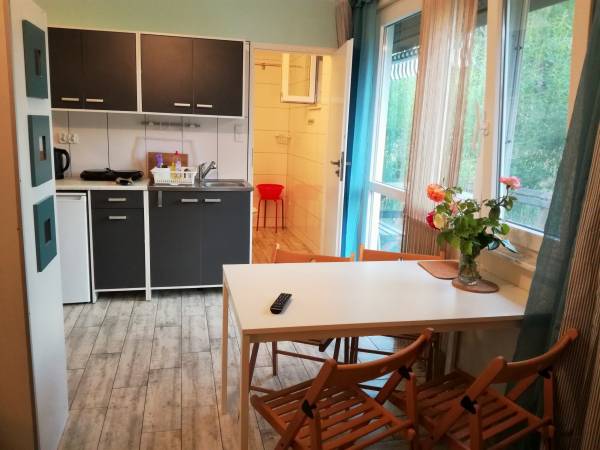 aneks kuchenny z wyjściem na taras