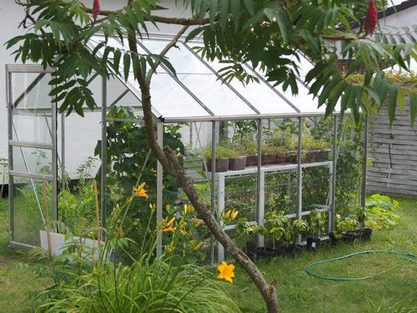 restauracja Plażowa szklarnia