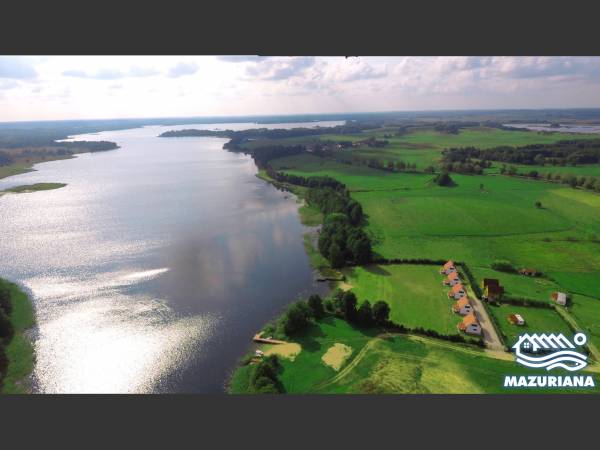 Mazuriana