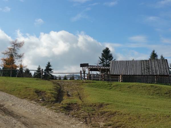 bacówka przy drodze na Durbaszkę