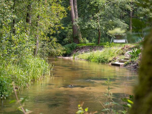 Domki na Roztoczu - Domek Nowiny 