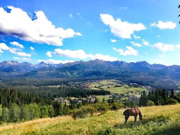 Pokoje Gościnne U Heleny