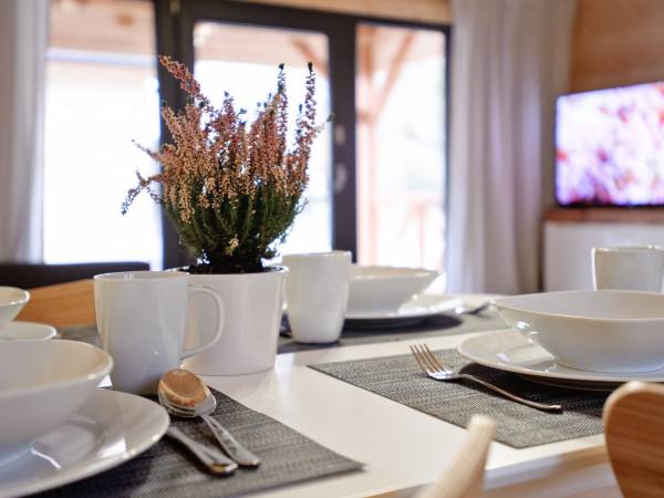 salon z aneksem kuchennym