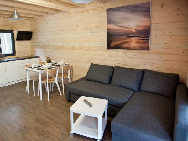 salon z aneksem kuchennym